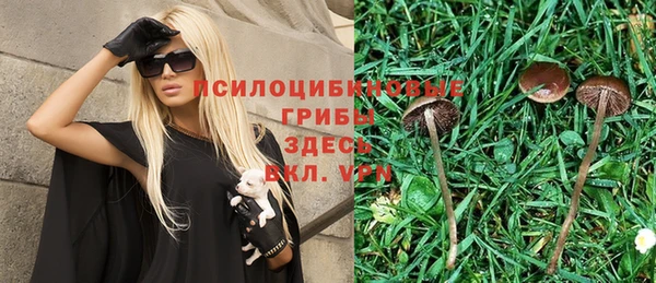 амф Осташков