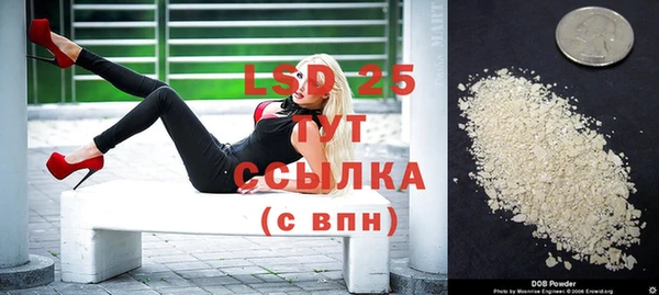 амф Осташков
