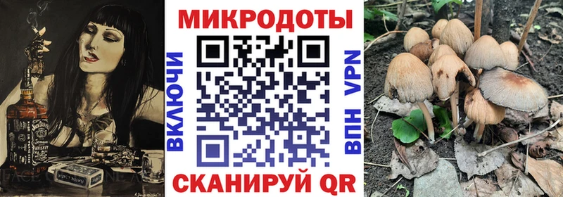 Галлюциногенные грибы ЛСД  Фёдоровский 
